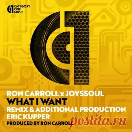 Ron Carroll & JoysSoul - What I Want Remixed by Eric Kupper [Category 1 Music]
