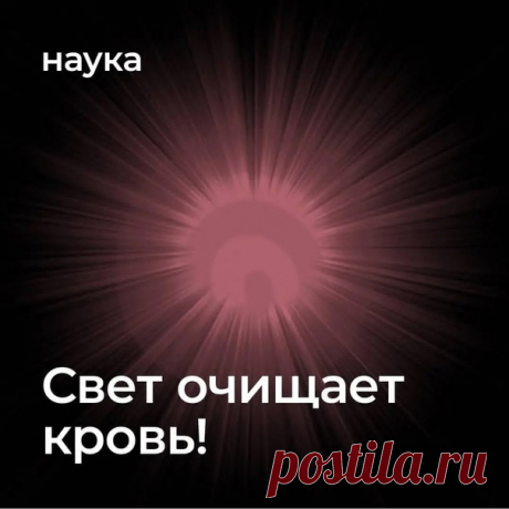 Запись на стене Блестящее исследование и воплощение в реальности!!! И не крутите пальцем у виска, когда я говорю вам носить те или иные цвета в одежде. Свет - это основа всего, в том числе передачи энергии ядов и противоядий. Вот наглядный пример того, как свет влияет на наш организм. Это только начало!!!#большоеначало