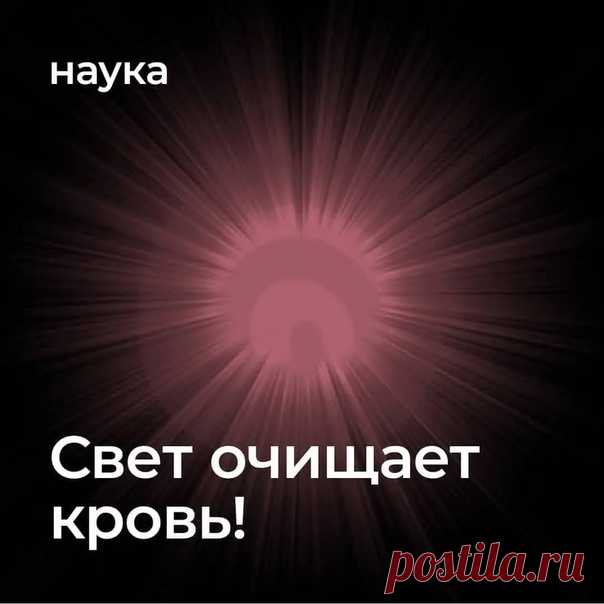 Запись на стене Блестящее исследование и воплощение в реальности!!! И не крутите пальцем у виска, когда я говорю вам носить те или иные цвета в одежде. Свет - это основа всего, в том числе передачи энергии ядов и противоядий. Вот наглядный пример того, как свет влияет на наш организм. Это только начало!!!#большоеначало