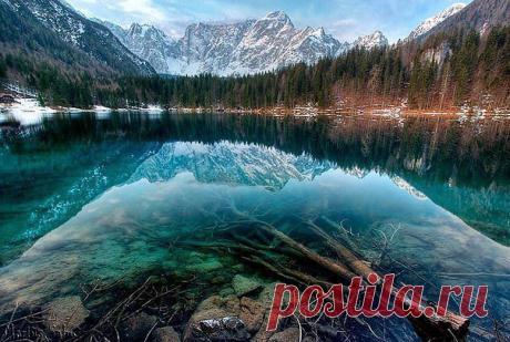 чудесная планета ЗЕМЛЯ