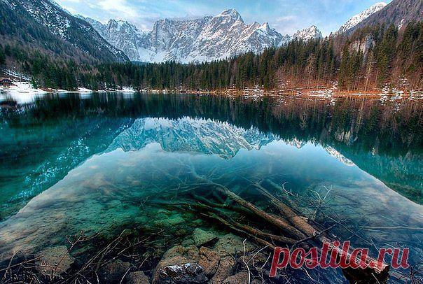 чудесная планета ЗЕМЛЯ