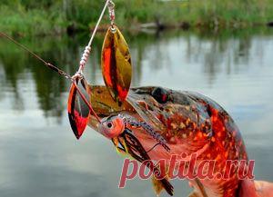 Рыбалка видео: Спиннербейт – приманка на щуку и окуня