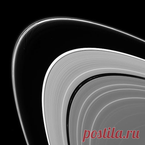 Google+