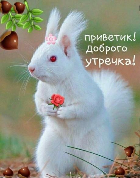 Выпуск №6848 - выпуск анекдотов сайта вокруг смеха