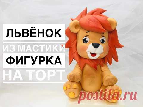 Львёнок_young lion_Leão