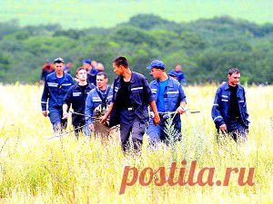 Интересные факты о свекле