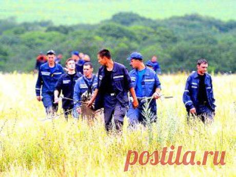 Интересные факты о свекле