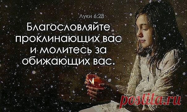 1 непрочитанный чат