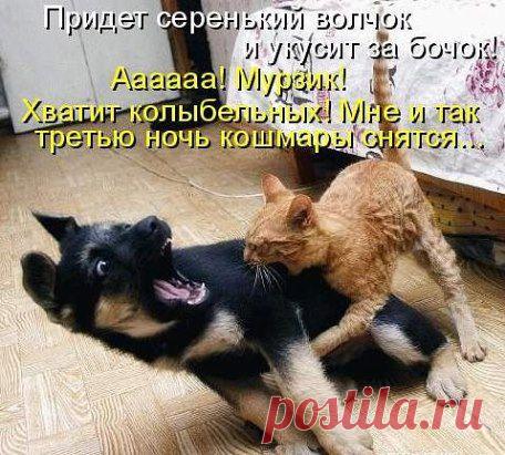 У нас много интересного