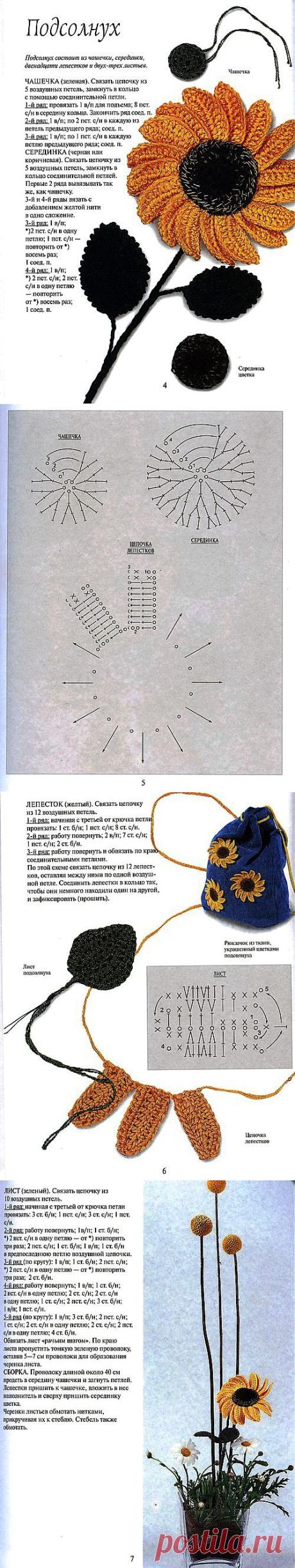 Подсолнухи.