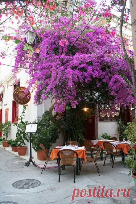 Paris Cafe...
