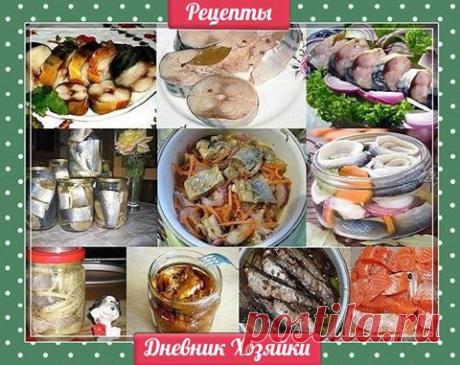 (99) Солёная, маринованная, копчёная рыбка легко!... - Дневник хозяйки: советы, рецепты, уют