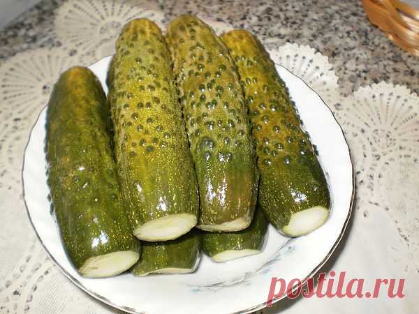 Малосольные огурчики с горчицей и кориандром от Людмилы Ивановны.