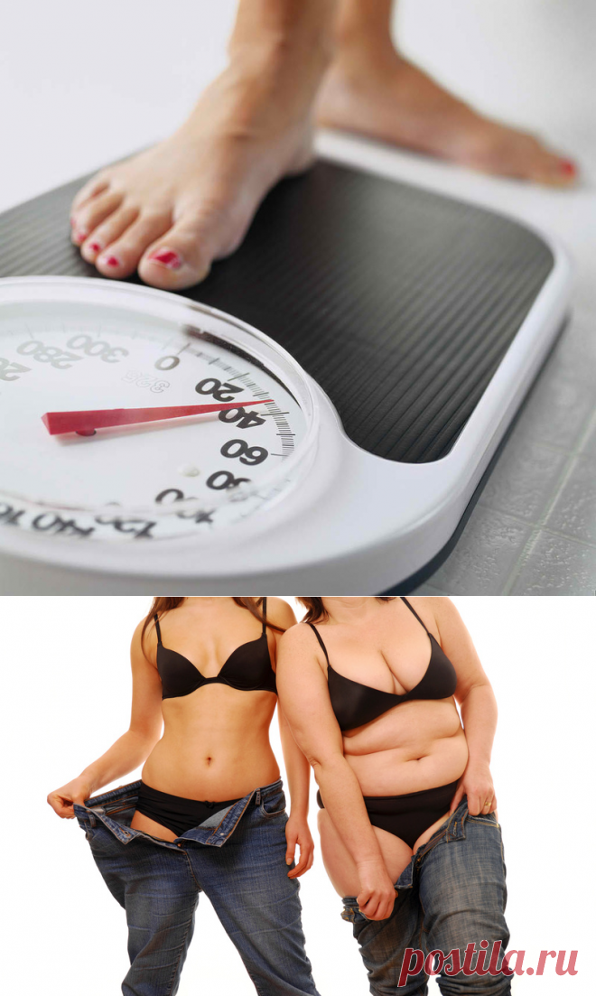10 ВАЖНЫХ принципов похудения
