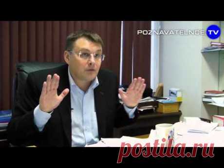 Евгений Фёдоров: Политическая реальность | Познавательное ТВ