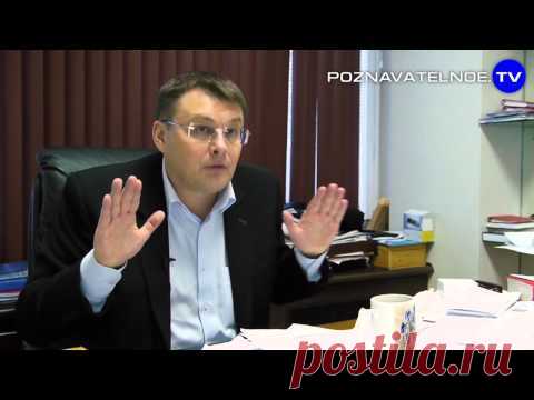 Евгений Фёдоров: Политическая реальность | Познавательное ТВ