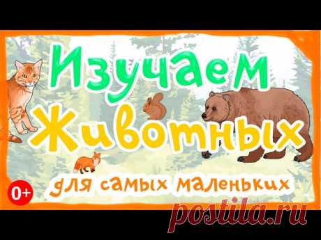 КАРТОЧКИ ДОМАНА для МАЛЫШЕЙ

1. Животные. 
2. Формы. 
3. Изучаем Природу. 
4. Фрукты.
5. Изучаем Овощи. 
6. Цвета.