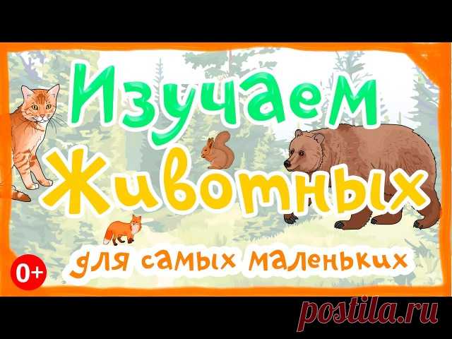 КАРТОЧКИ ДОМАНА для МАЛЫШЕЙ

1. Животные. 
2. Формы. 
3. Изучаем Природу. 
4. Фрукты.
5. Изучаем Овощи. 
6. Цвета.