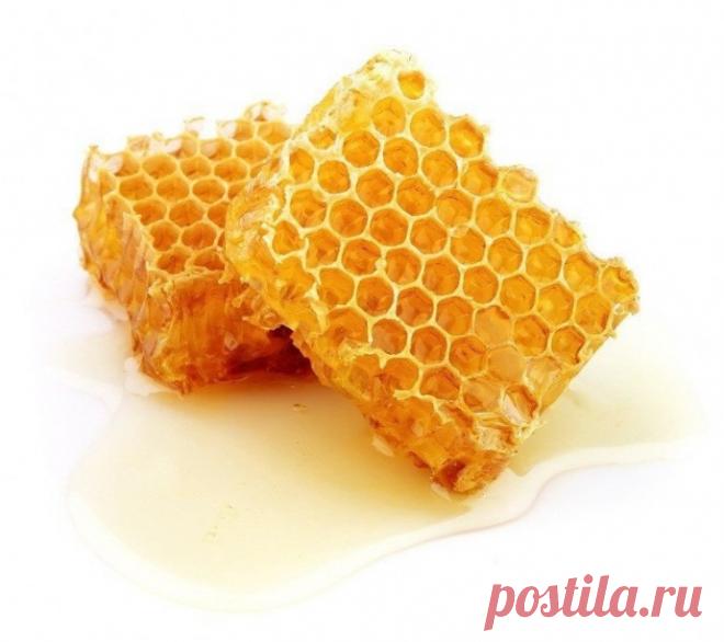 ТОП-3 НАТУРАЛЬНЫХ АНТИБАКТЕРИАЛЬНЫХ СРЕДСТВ