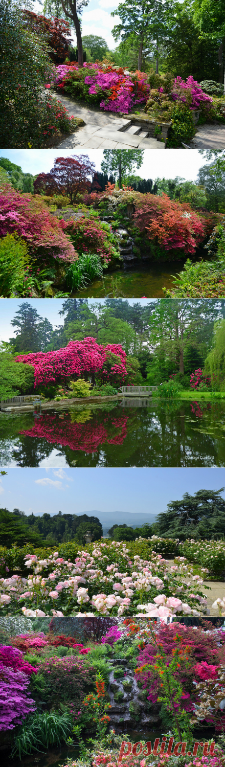 Боднант Гарден(Bodnant Garden),Великобритания.