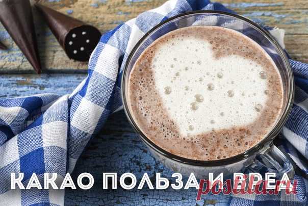 Для многих людей какао – напиток детства, который вызывает ностальгические воспоминания.

 Самое ценное в этом напитке – его необыкновенный вкус, а также нежная пенка. Какао – достаточно питательный и высококалорийный продукт: на 100 грамм какао-бобов приходится 400 ккал. Маленькая чашечка напитка уже вызывает чувство пресыщения, и трудно выпить больше двух чашек какао. Самое правильное - выпивать 1 чашку по утрам.

Выпив чашечку, мы замечаем, что наше настроение повышаетс...