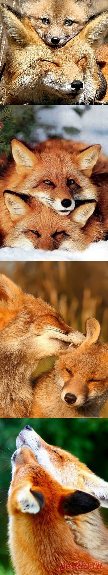 Одноклассники
