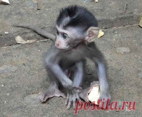 Мой Мир@Mail.Ru