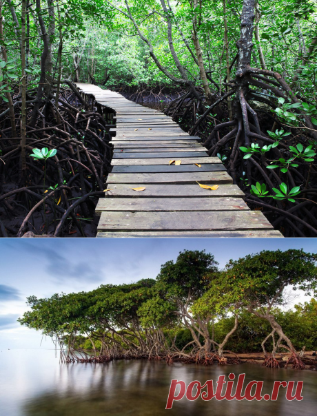 Занзибар: пять советов для путешествующих самостоятельно