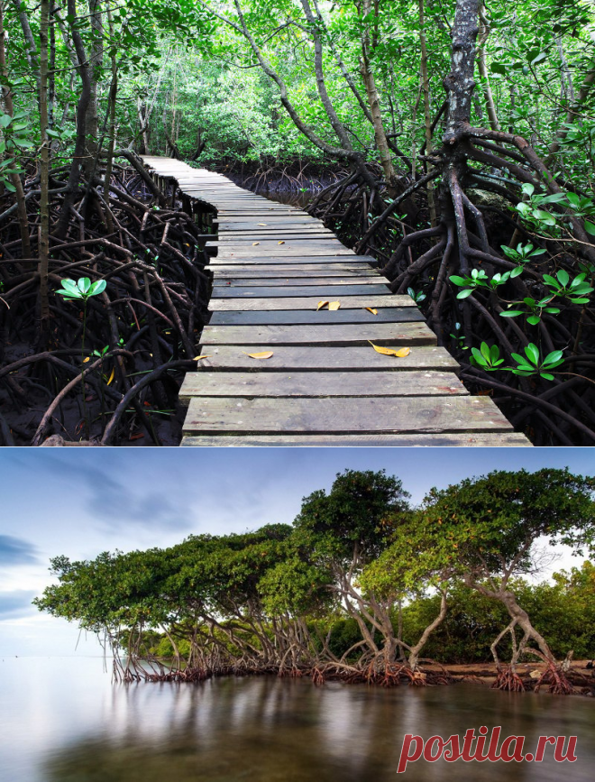 Занзибар: пять советов для путешествующих самостоятельно