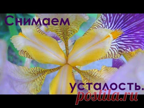 Лечебная музыка для снятия негатива, стресса, усталости, депрессии,