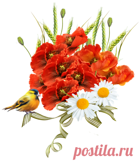 клипарт «цветочный декор» png