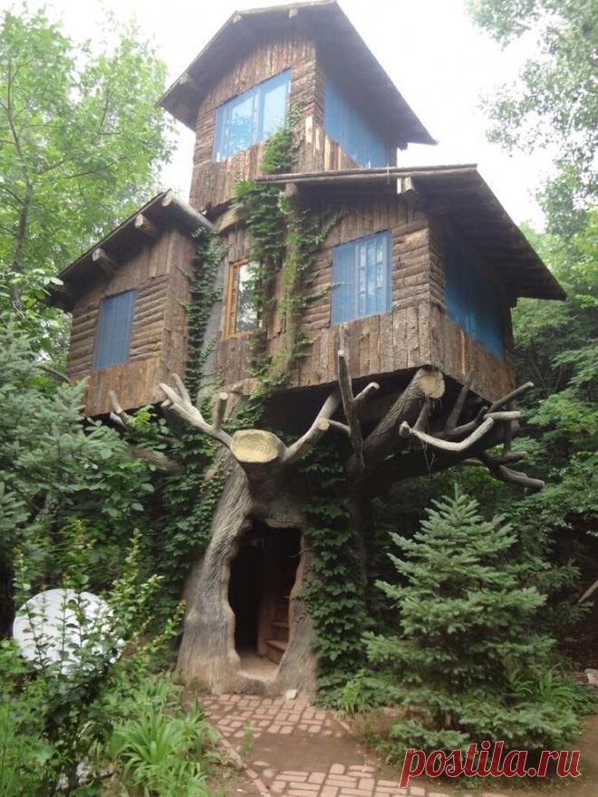 Здесь Леший поселился.