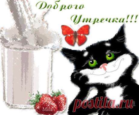 Плейкаст С Добрым утром https://crystalxp.net/redirect.php?url=https://biznecd.ru/437-pleykast-s-dobrym-utrom.html