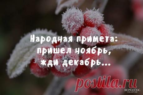 задекабрило: 644 изображения найдено в Яндекс Картинках