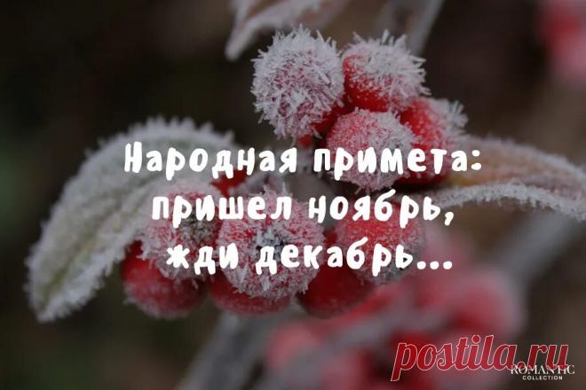 задекабрило: 644 изображения найдено в Яндекс Картинках