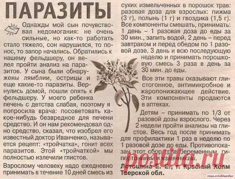 Тройчатка от паразитов