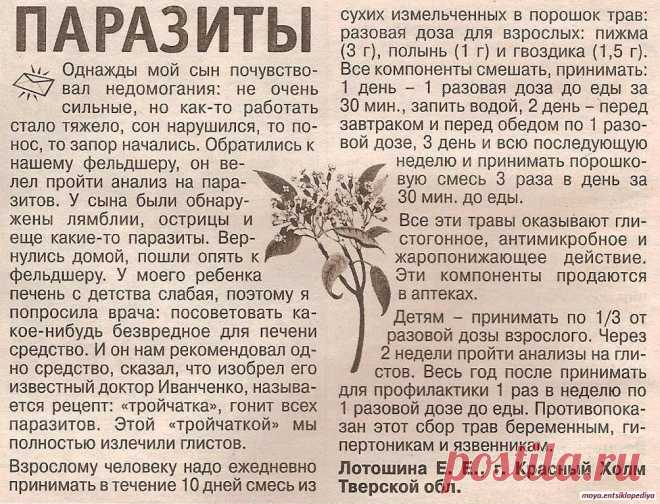 Тройчатка от паразитов