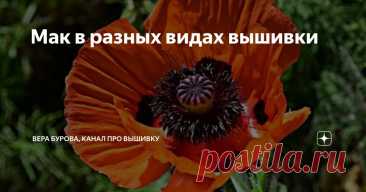 Мак в разных видах вышивки Статья автора «ВЕРА БУРОВА, канал про вышивку» в Дзене ✍: Один из самых прекрасных цветов, жаль живет, что не долго, как в естественной среде, всего 2-3 дня, а уж в срезанном виде в букете и того...