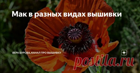 Мак в разных видах вышивки Статья автора «ВЕРА БУРОВА, канал про вышивку» в Дзене ✍: Один из самых прекрасных цветов, жаль живет, что не долго, как в естественной среде, всего 2-3 дня, а уж в срезанном виде в букете и того...