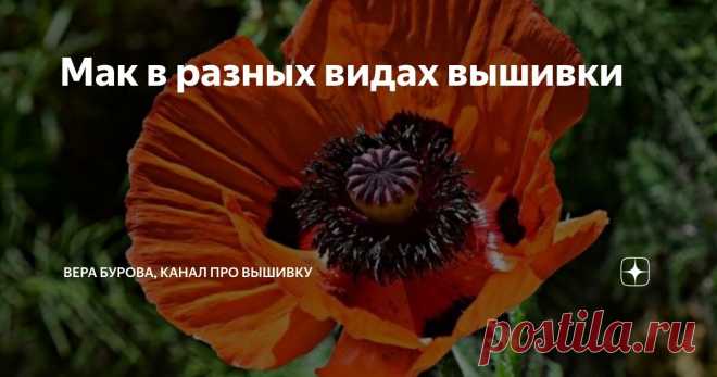 Мак в разных видах вышивки Статья автора «ВЕРА БУРОВА, канал про вышивку» в Дзене ✍: Один из самых прекрасных цветов, жаль живет, что не долго, как в естественной среде, всего 2-3 дня, а уж в срезанном виде в букете и того...