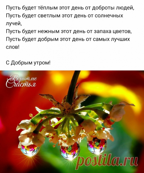 "ОБЕРЕГ ТРЁХ АНГЕЛОВ "(ЧТОБЫ БЕДЫ И ПРОБЛЕМЫ МИНУЛИ) | Лана Ова🌅 | Яндекс Дзен