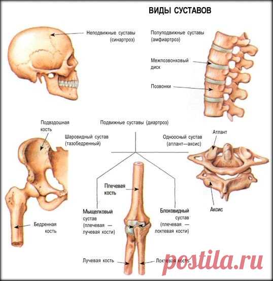 Проблемы со спиной можно исправить! Спасайте своих близких!
