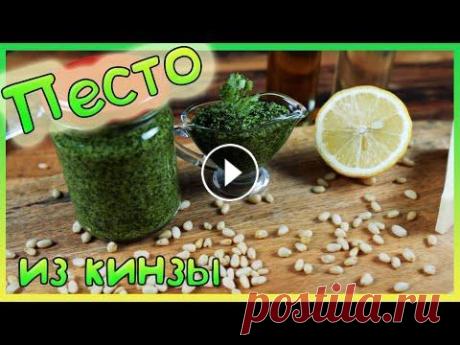 Песто из кинзы /Лучший в мире соус /  Соус из кинзы / Соус ПЕСТО / Рецепт соуса / "ПЕСТО из кинзы - этот соус мой самый любимый! Его аромат и вкус просто великолепные! Просто попробуйте приготовить однажды. и вы навсегда его по...