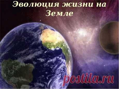 Удивительные свидетельства эволюции жизни на Земле. Вопрос верующим: а как церковь объясняет эти научные факты?