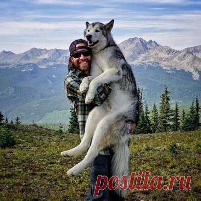 (74) Одноклассники