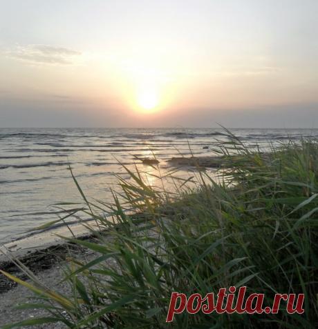 «Метаморфоза раскалённого диска» — карточка пользователя Сергей Анатольевич в Яндекс.Коллекциях