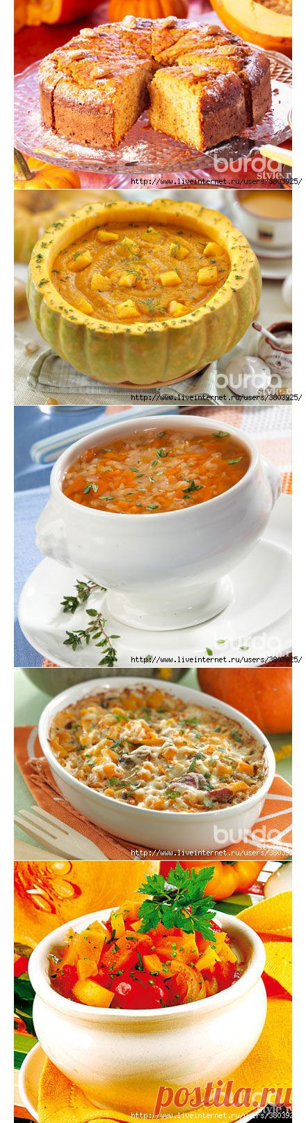 Сеньора Тыква