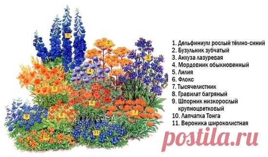 10-rabatka-sam.jpg (550×323)