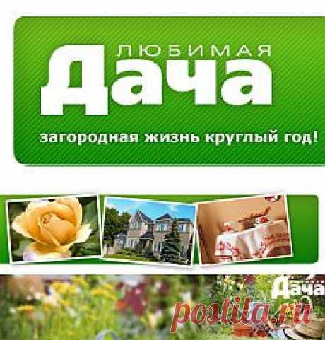Любимая ДАЧА