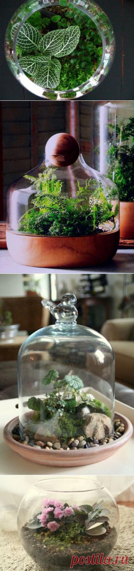Изготовление домашнего террариума